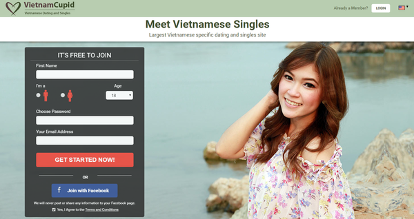 cupid dating login