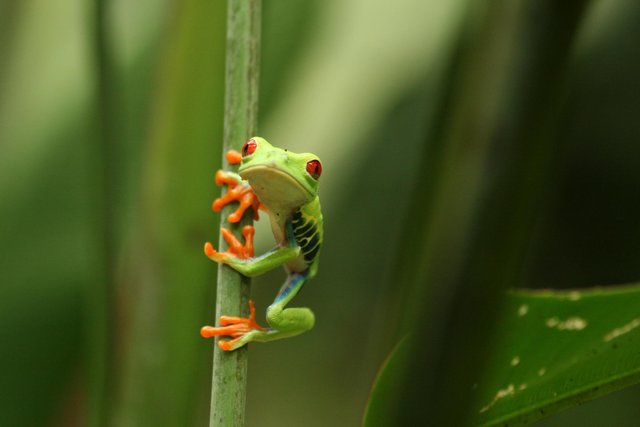 Costa Rica