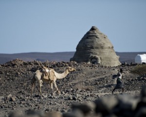 Djibouti 