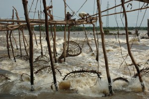 fishing in the DRC