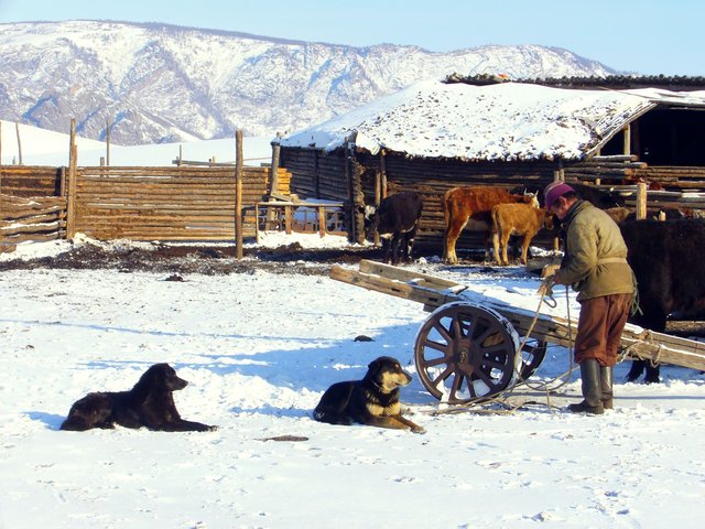 Gorkhi-Terelj National Park, Mongolia