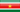 Suriname visa