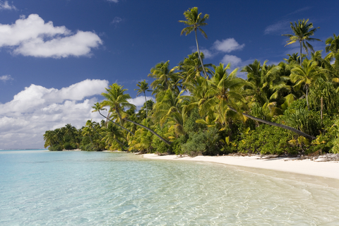 Cook Islands Business Visa